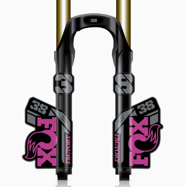 Pegatinas horquilla FOX 38